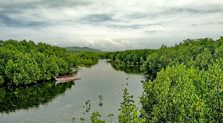 Tacloban Rent a Car